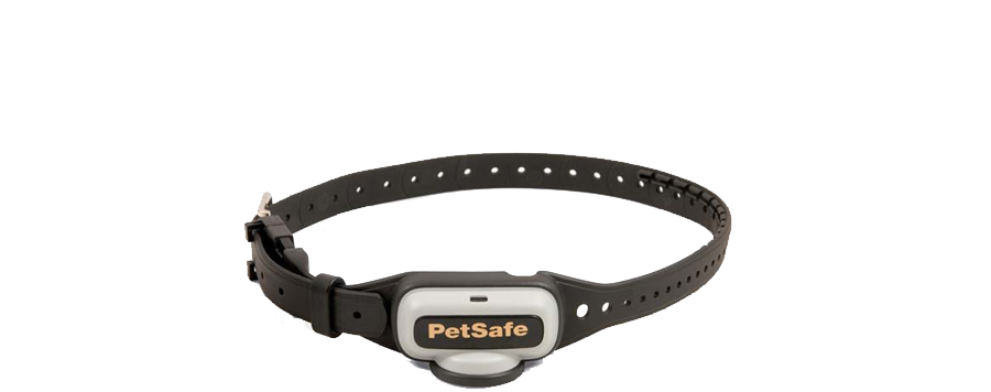 PetSafe® PIG00-10679 Comfort Fit Standard Collar