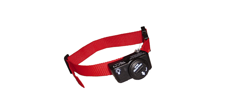 PetSafe® PWF19-10762 Collar